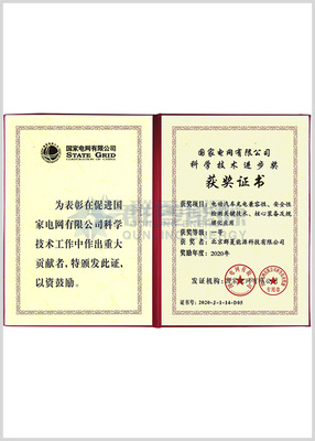 国家电网科学技术奖